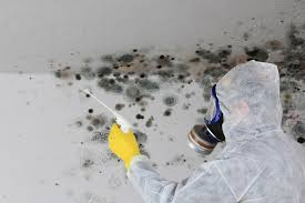 Best Comprehensive Air Testing for Mold Contaminants  in Blue Jay, OH